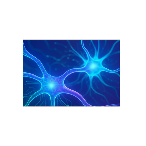 Neural Dreamscape - Foam Board