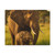Dramatic Elephant Guardian - Matte Canvas, Stretched, 1.25"