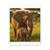 Dramatic Elephant Guardian - Matte Canvas, Stretched, 1.25"