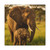 Dramatic Elephant Guardian - Matte Canvas, Stretched, 1.25"