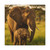 Dramatic Elephant Guardian - Matte Canvas, Stretched, 1.25"