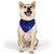 Digital Dreamscape - Pet Bandana Collar