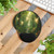 Whispers of the Woods - Mouse Pad With Wrist Rest Whispers of the Woods - Mouse Pad With Wrist Rest