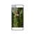 Whimsical Woodland Sprite - Magnetic Clear Impact-Resistant Cases