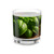 Rustic Herb Garden - Rocks Glass, 10oz