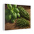Rustic Herb Garden - Matte Canvas, Stretched, 1.25"