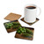 Rustic Herb Garden - Corkwood Coaster Set