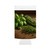 Rustic Herb Garden - Slim Can Cooler