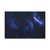 Celestial Flamewing - Matte Canvas, Stretched, 1.25"