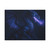 Celestial Flamewing - Matte Canvas, Stretched, 1.25"