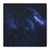 Celestial Flamewing - Matte Canvas, Stretched, 1.25"