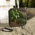 Rustic Herb Garden - Blackwater Outdoor Bluetooth Speaker