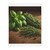 Rustic Herb Garden - Velveteen Microfiber Blanket (Two-sided print)