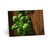 Rustic Herb Garden - Greeting Cards (5 Pack)