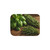 Rustic Herb Garden - Sherpa Blanket, Two Colors Rustic Herb Garden - Sherpa Blanket, Two Colors