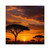 Savanna Sunset Harmony - Laminate Stickers, Square