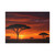 Savanna Sunset Harmony - Fine Art Postcards
