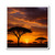 Savanna Sunset Harmony - Magnets