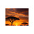 Savanna Sunset Harmony - Ceramic Photo Tile