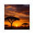 Savanna Sunset Harmony - Die-Cut Stickers