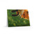 Whimsical Fox Tails - Greeting cards (8, 16, and 24 pcs)