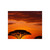 Savanna Sunset Harmony - Fine Art Posters