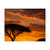 Savanna Sunset Harmony - Matte Horizontal Posters