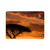 Savanna Sunset Harmony - Acrylic Wall Art Panels