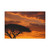 Savanna Sunset Harmony - Canvas Art Wraps, 1.6"