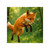 Whimsical Fox Tails - Transparent Outdoor Stickers, Square, 1pc