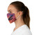 Skyward Bound - Fabric Face Mask