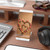 Enduring Love Blossoms - Mobile Display Stand for Smartphones