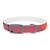 Skyward Bound - Dog Collar