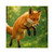 Whimsical Fox Tails - Laminate Stickers, Square