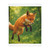 Whimsical Fox Tails - Velveteen Microfiber Blanket (Two-sided print)