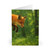 Whimsical Fox Tails - Greeting Cards (5 Pack)
