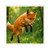 Whimsical Fox Tails - Square Stickers