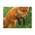 Whimsical Fox Tails - Canvas Art Wraps, 1.6"