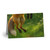 Whimsical Fox Tails -  Greeting Cards (1 or 10-pcs)