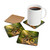 Pedal Through Paradise - Corkwood Coaster Set