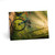 Pedal Through Paradise - Greeting Cards (5 Pack)
