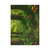 Ecosystem Harmony - Fine Art Postcards
