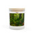 Ecosystem Harmony - Frosted Glass Candle, 11oz