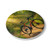 Pedal Through Paradise - Ceramic Coaster