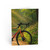 Pedal Through Paradise - Greeting Cards
