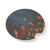 Whimsical Campfire Nights - Soapstone Car Coaster