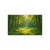 Emerald Forest Glade - Post-it® Note Pads