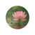 Tranquil Lotus - Cork Back Coaster