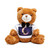 Witching Hour Magic - Teddy Bear with T-Shirt