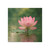 Tranquil Lotus - Square Magnet